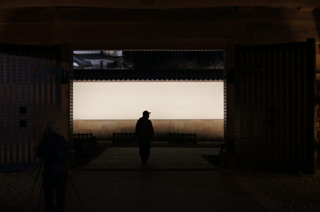 Beyond the Screen, Into the Light.