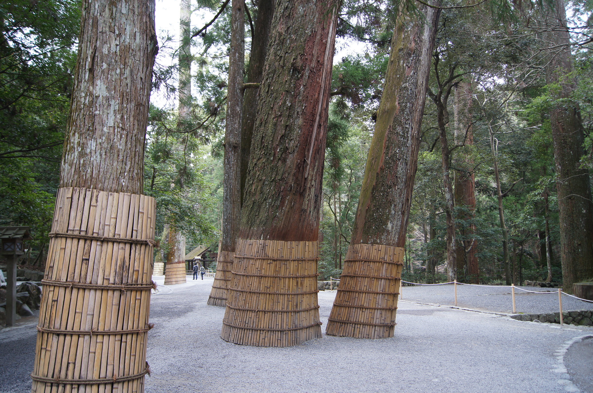 伊勢神宮 内宮