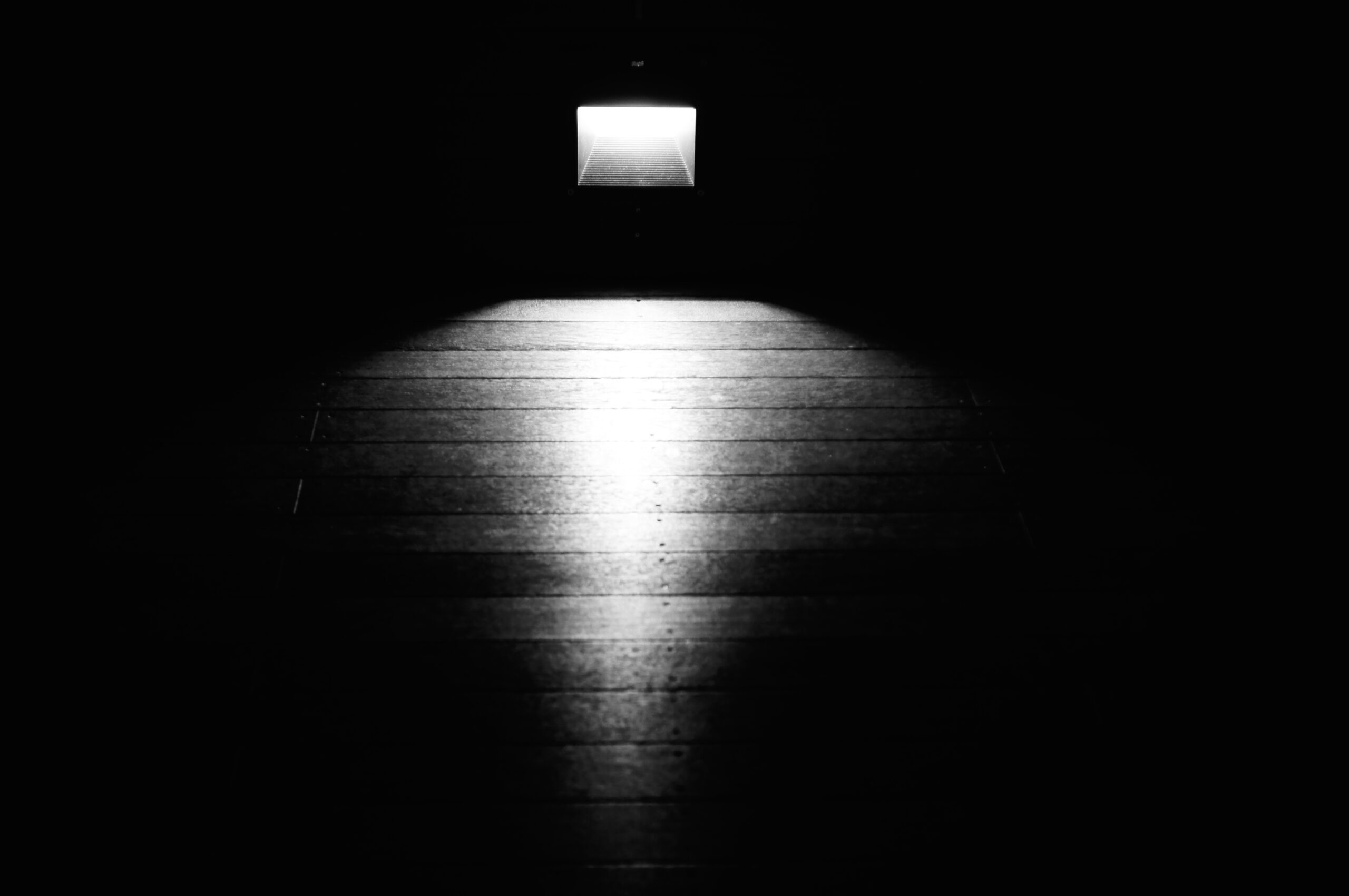 Beyond the Screen, Into the Light.